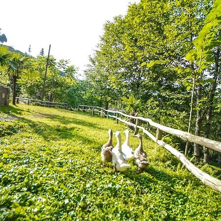 Oasis Gasamania Hotel Батуми Екстериор снимка